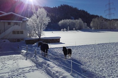 Vakantiehuis Ontspannende vakantie Radstadt