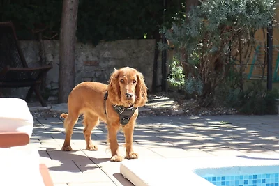 "Art House" by SECRA