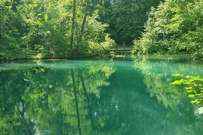 Vakantieappartement Gezinsvakantie Herzberg am Harz