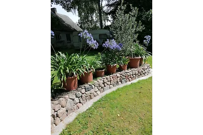 Ferienwohnung 1 Landhaus Thätner