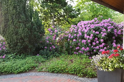 Appartement Schomaker-Fatmann