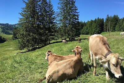 Appartamento Vacanza con famiglia Oberstaufen