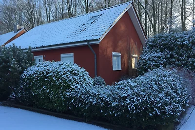 Vakantiehuis Ontspannende vakantie Sögel