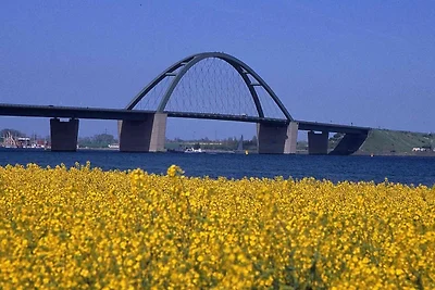 Möwennest 7 - Grossenbrode