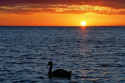 LHMW12102 - FeWo 'an de Möhl'