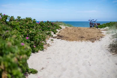 DER STÖRTEBEKER - "Apartment