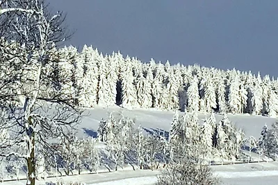 Appartamento Vacanza con famiglia Kurort Rathen