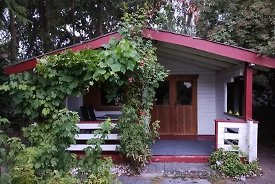 Vakantieappartement Gezinsvakantie Birgel