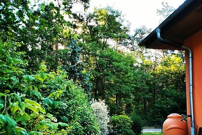 Ferienwohnung Am Waldesrand -