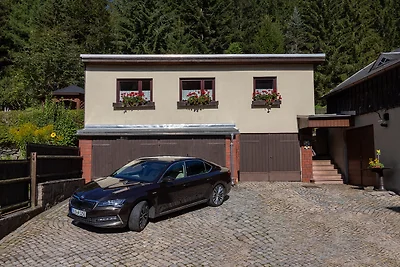 Ferienwohnung Erzgebirge