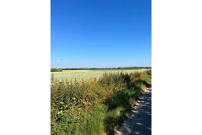 Mimi an der Ostsee - ABC340