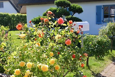 Casa vacanze Vacanza di relax Glowe
