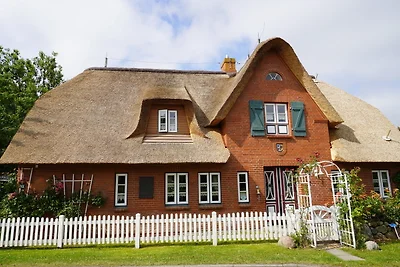Vakantieappartement Gezinsvakantie Midlum