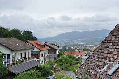 Grosszügige Ferienwohnung