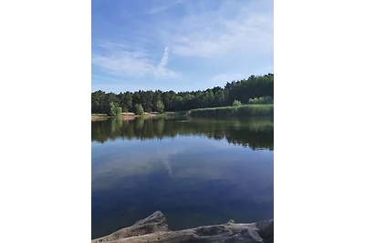 Casa vacanze Vacanza di relax Schönwalde-Glien
