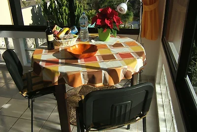 Fewo Strelitzia, im Grünen, am