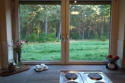 Vakantiehuis Ontspannende vakantie Dedelstorf