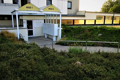 Vier Jahreszeiten I / 50