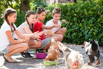 Vakantieappartement Gezinsvakantie Grömitz