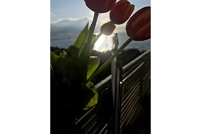 M+M Luxus Meerblick Appartment 3