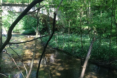 Eldorstal 1 - Ferienwohnung in Bad
