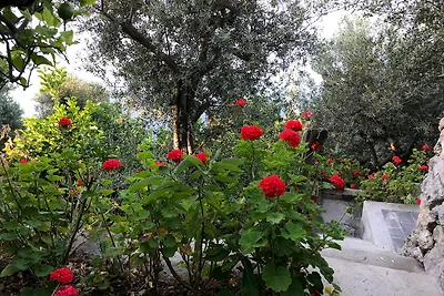 Casa del Cavallo