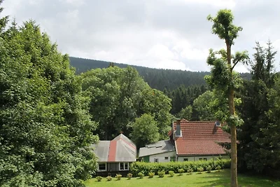 Appartamento Vacanza con famiglia Goslar