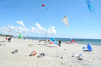 Möwennest 7 - Grossenbrode