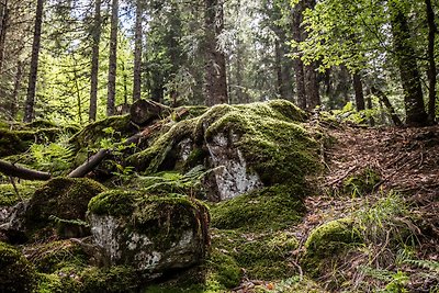 Appartamento Vacanza con famiglia Höchenschwand