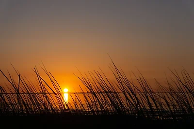 Casa de vacaciones Vacaciones de reposo Hippolytushoef