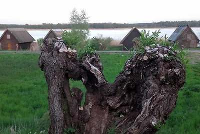 Appartamento Vacanza con famiglia Hohen Viecheln