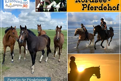 Nordseeurlaub im hochwertigen