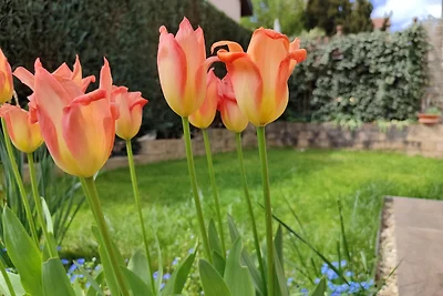 Vakantieappartement Gezinsvakantie Böblingen