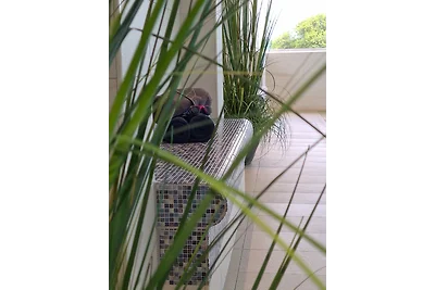 Apartament Dla rodzin Duhnen