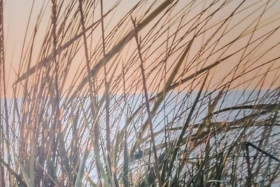 Apartment 10 - "Borbyblick" -