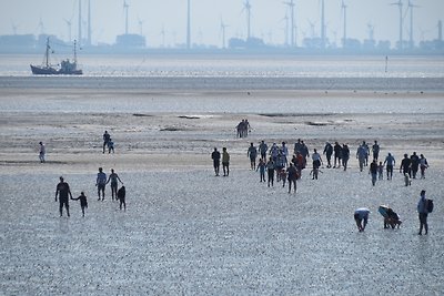 Hus op de Wurth Nr. 17