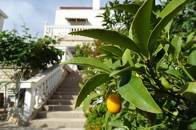 Vakantieappartement Gezinsvakantie Kožino