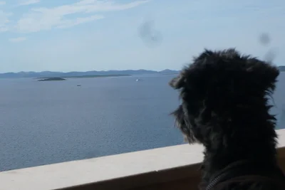 Ferienwohnung MiraMare