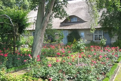 Ferienwohnung Irisgarten am