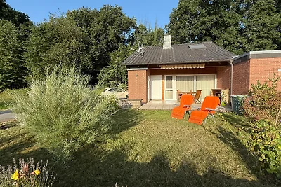Vakantiehuis Ontspannende vakantie Diemelstadt