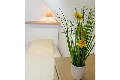 Haus Sonne, Wohnung 06 Strandlust