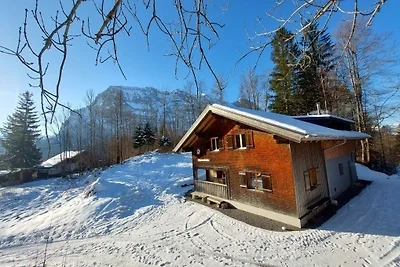 Vakantiehuis Ontspannende vakantie Schnepfau