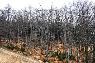 Vakantieappartement Gezinsvakantie Szklarska Poreba