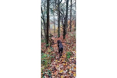 FeWo Bergenrot Urlaub mit Hund