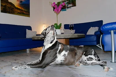 Ferienwohnung Schlossblick