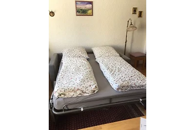 Appartamento Vacanza con famiglia Haidmühle