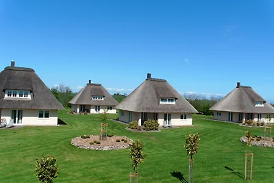 Vakantiehuis Ontspannende vakantie Burg auf Fehmarn