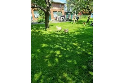 Vakantiehuis Ontspannende vakantie Burg auf Fehmarn