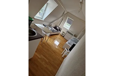 Wombat (1-2 Personen)