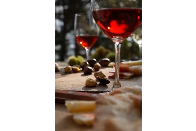 Fewo (Zweiraum) im Haus Götsch (5)